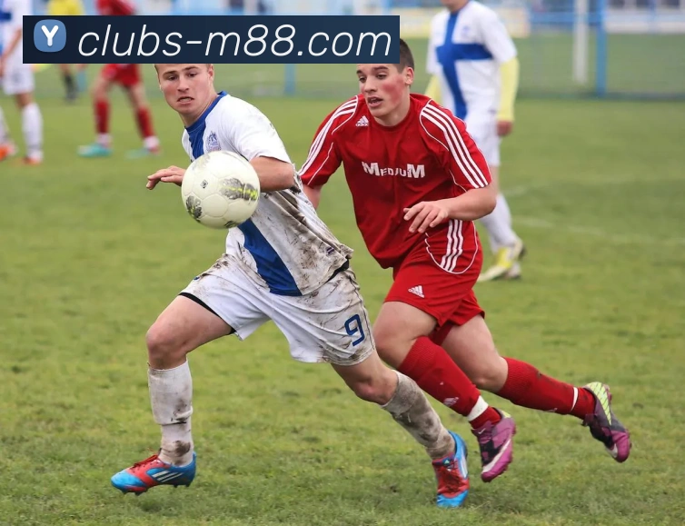 App Interface Preview